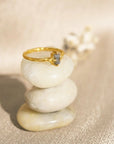 Ever Evolving • Ring Ananda Soul