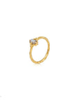 Ever Evolving • Ring Ananda Soul
