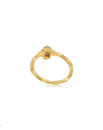 Ever Evolving • Ring Ananda Soul