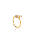 Asmara • Ring Ananda Soul