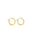 Swirl of Light • Hoop Earrings Ananda Soul