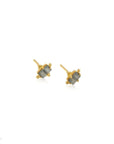 Ever Evolving • Stud Earrings Ananda Soul