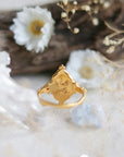 Gentle Devotion • Ring Ananda Soul