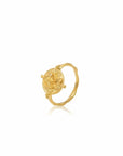 Wild Spirit • Ring Ananda Soul