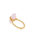Shoot for The Moon • Ring Ananda Soul