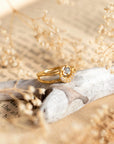Dreamseed Stack • Rings Ananda Soul