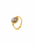 Among The Stars • Ring Ananda Soul