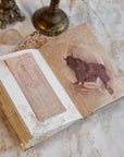 Moon Journal Anandasoul