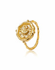 Infinite Potential • Ring Ananda Soul