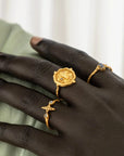 Infinite Potential • Ring Ananda Soul
