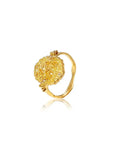 Own Who You Are • Ring Ananda Soul