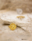 Infinite Potential & True North • Rings Ananda Soul