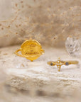 Infinite Potential & True North • Rings Ananda Soul