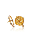 Infinite Potential & True North • Rings Ananda Soul