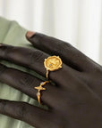 Infinite Potential & True North • Rings Ananda Soul