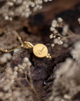 Manifest Your Dreams • Necklace Ananda Soul