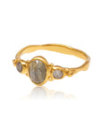 Manifest Your Dreams • Ring Ananda Soul