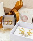 Beam of Light & Shine • Earrings Ananda Soul