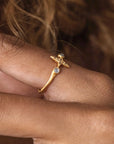 True North • Ring Ananda Soul