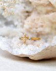 True North • Ring Ananda Soul