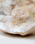 True North • Ring Ananda Soul