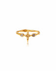 True North • Ring Ananda Soul