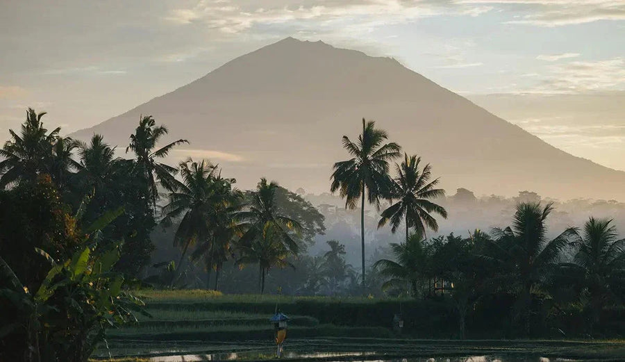 Honoring-Bali-s-Land-Water-Walking-lightly-on-sacred-ground Anandasoul