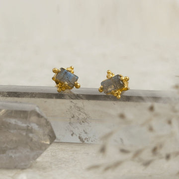 Ever Evolving • Stud Earrings