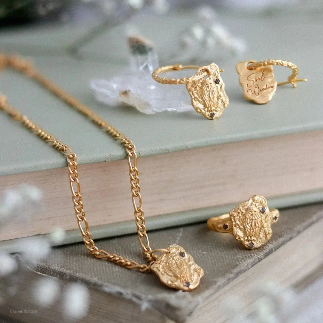 Soul Wisdom • Owl Necklace Ananda Soul
