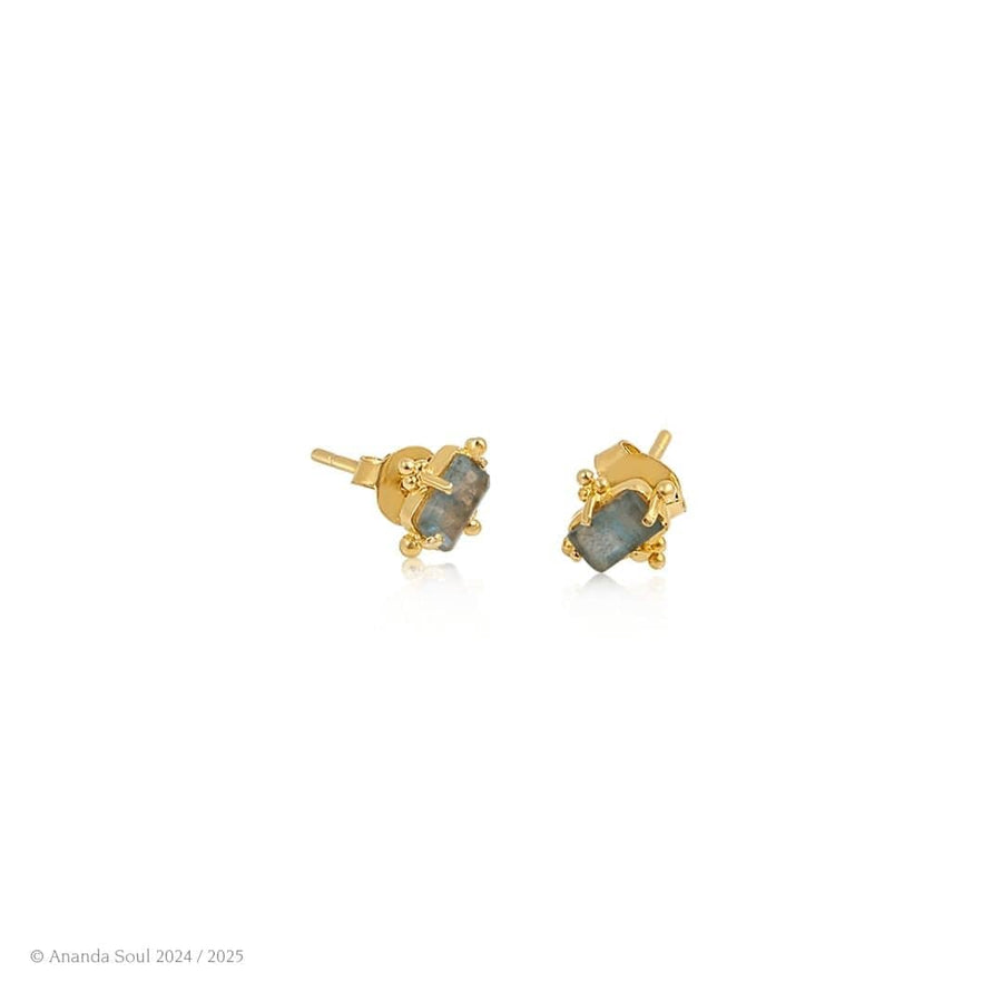 Ever Evolving • Stud Earrings