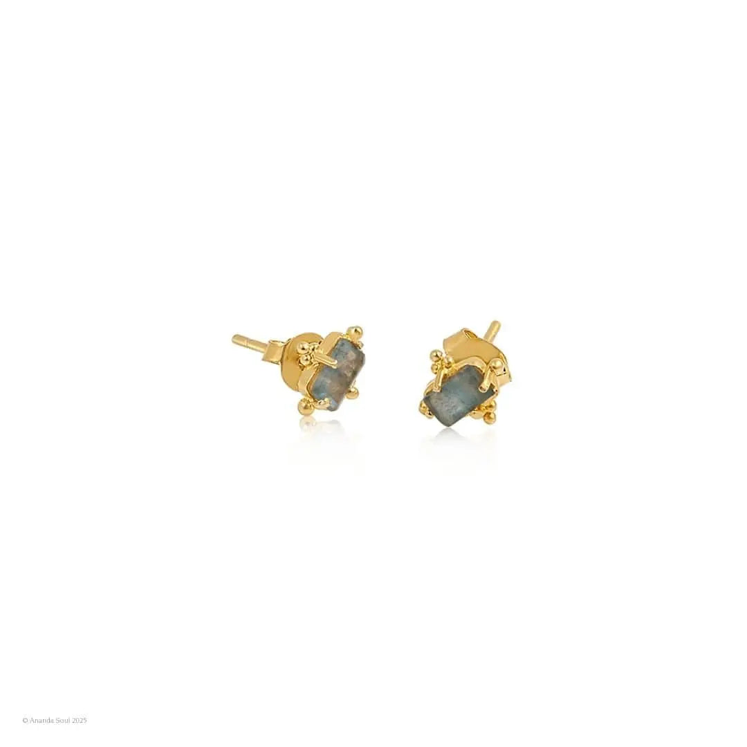 Ever Evolving • Stud Earrings Ananda Soul