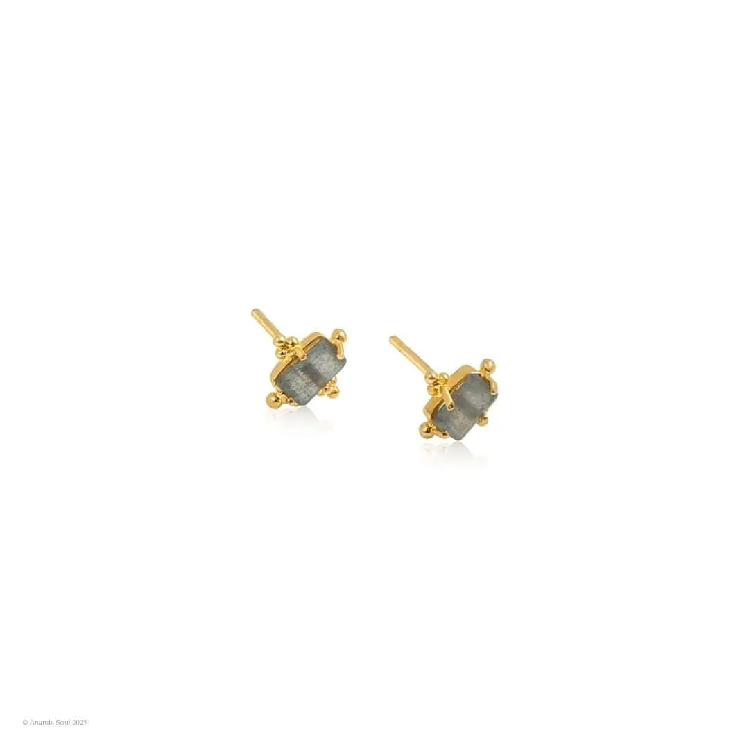 Ever Evolving • Stud Earrings Ananda Soul