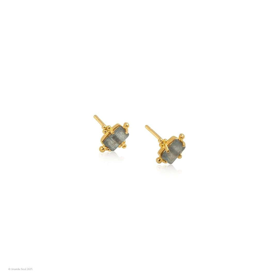 Ever Evolving • Stud Earrings