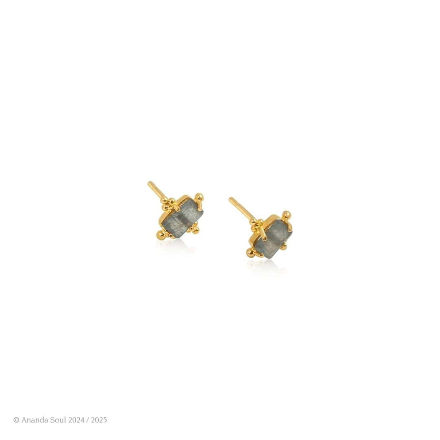 Ever Evolving • Stud Earrings