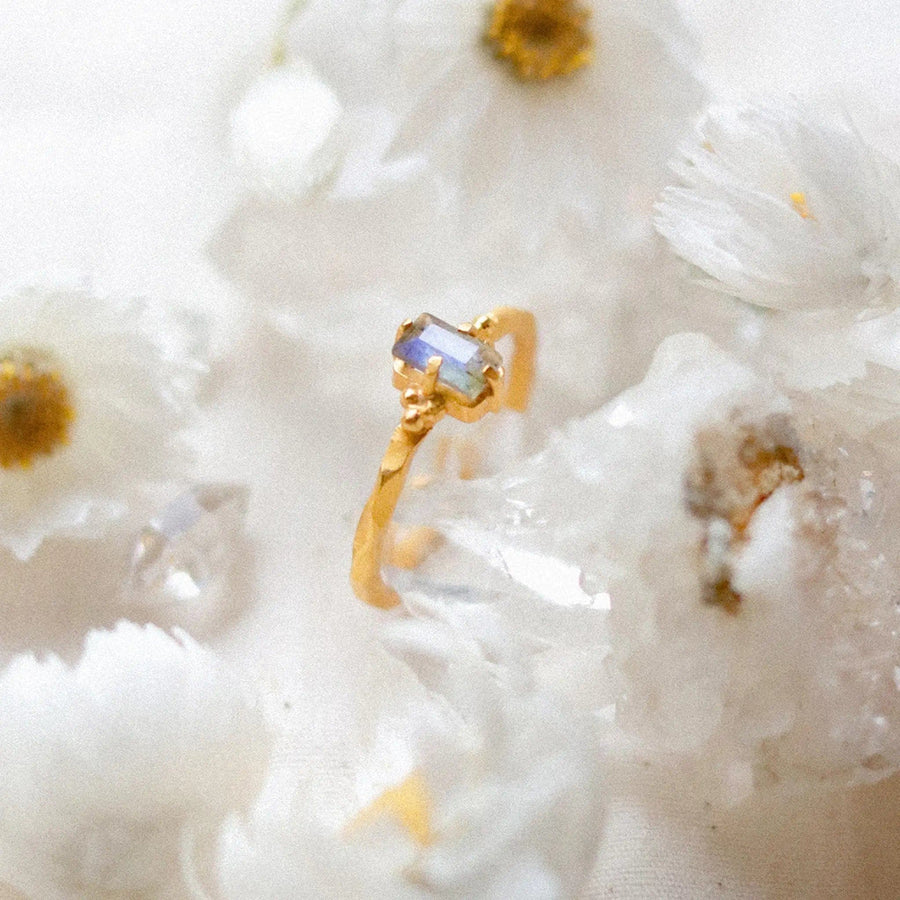 Ever Evolving โข Ring โ Anandasoul