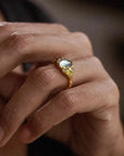 Wild Treasure • Ring Ananda Soul