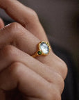 Wild Treasure • Ring Ananda Soul