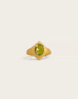 Companion of Passage • Ring
