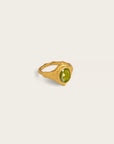 Companion of Passage • Ring