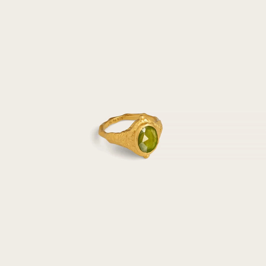 Companion of Passage • Ring