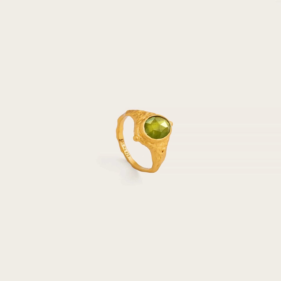 Companion of Passage • Ring
