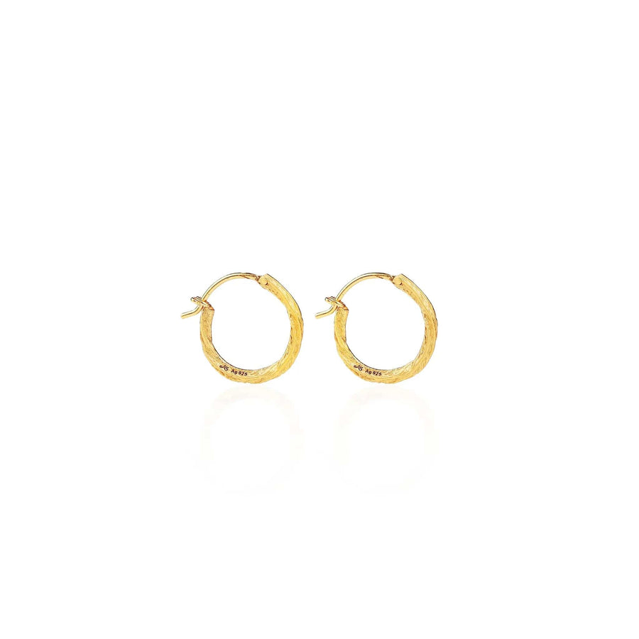 Swirl of Light • Hoop Earrings