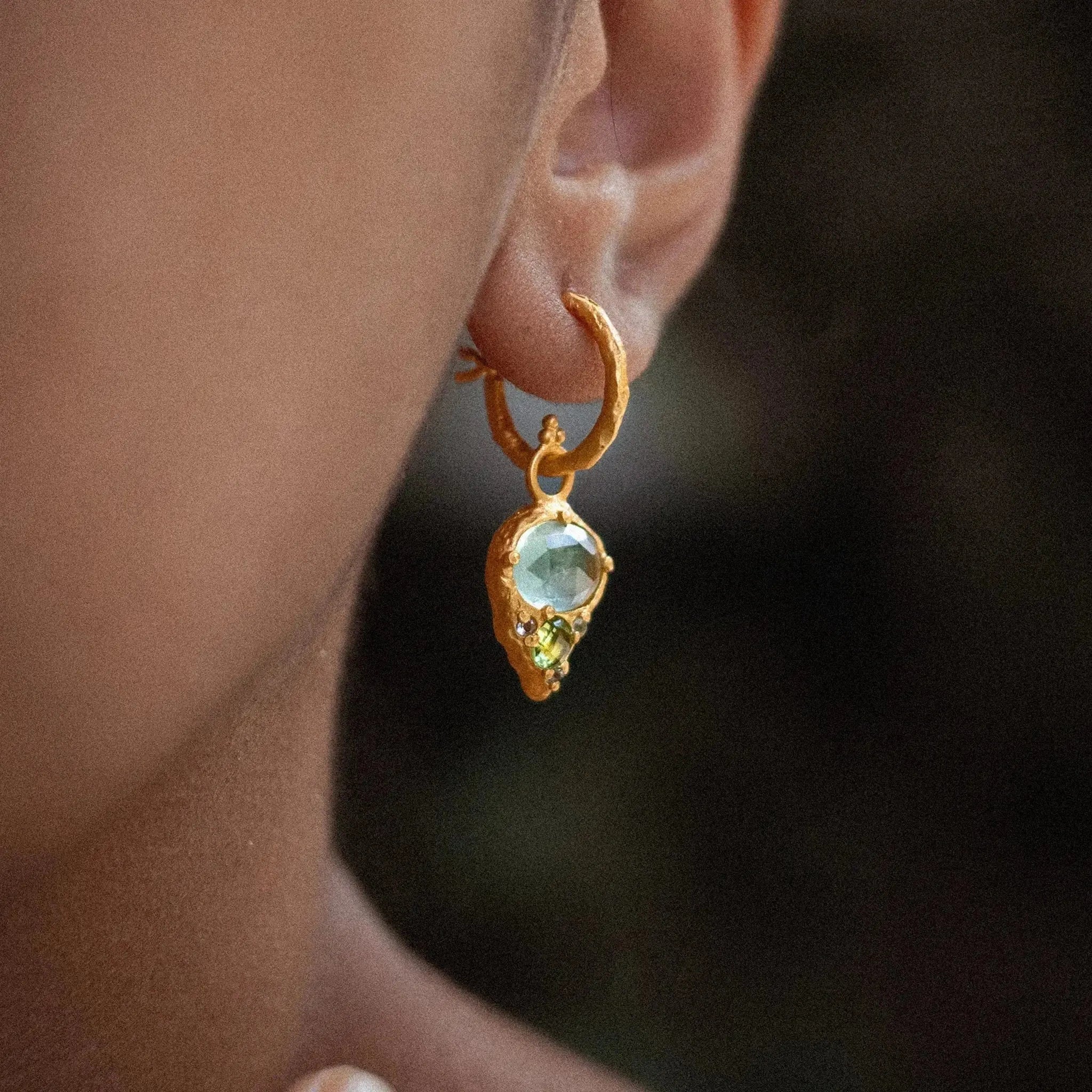 Wild Treasures • Hoop Earrings Ananda Soul