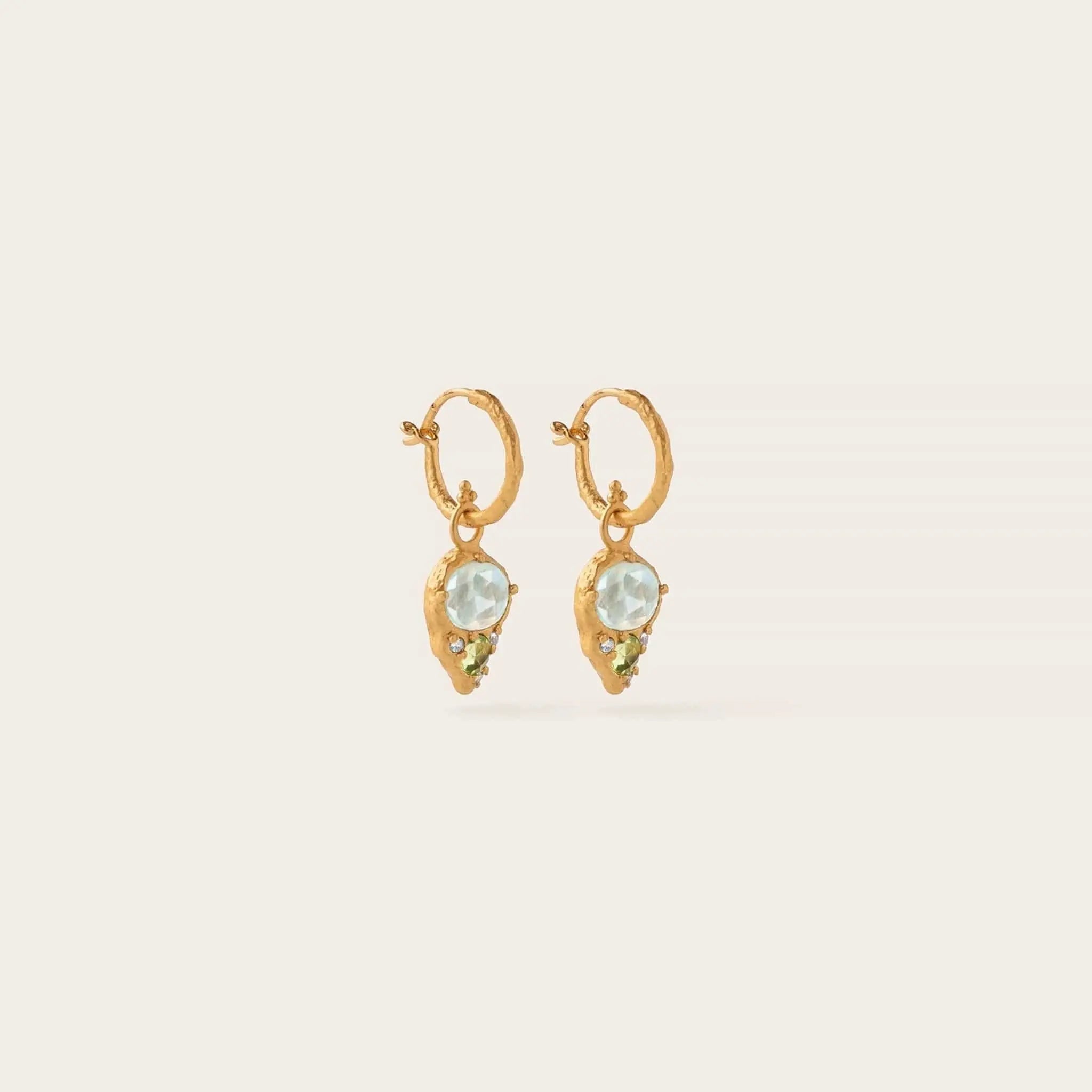 Wild Treasures • Hoop Earrings Ananda Soul