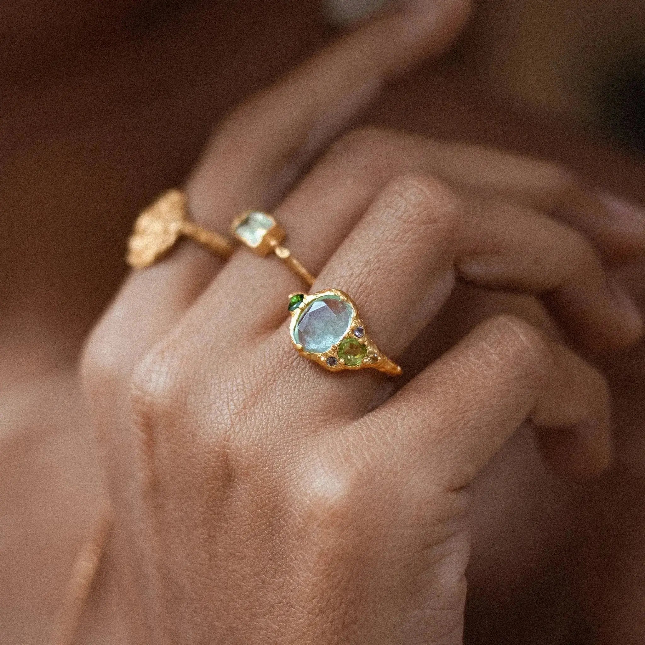 Wild Treasures • Ring Ananda Soul