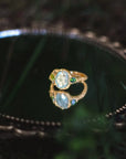 Wild Treasure • Ring