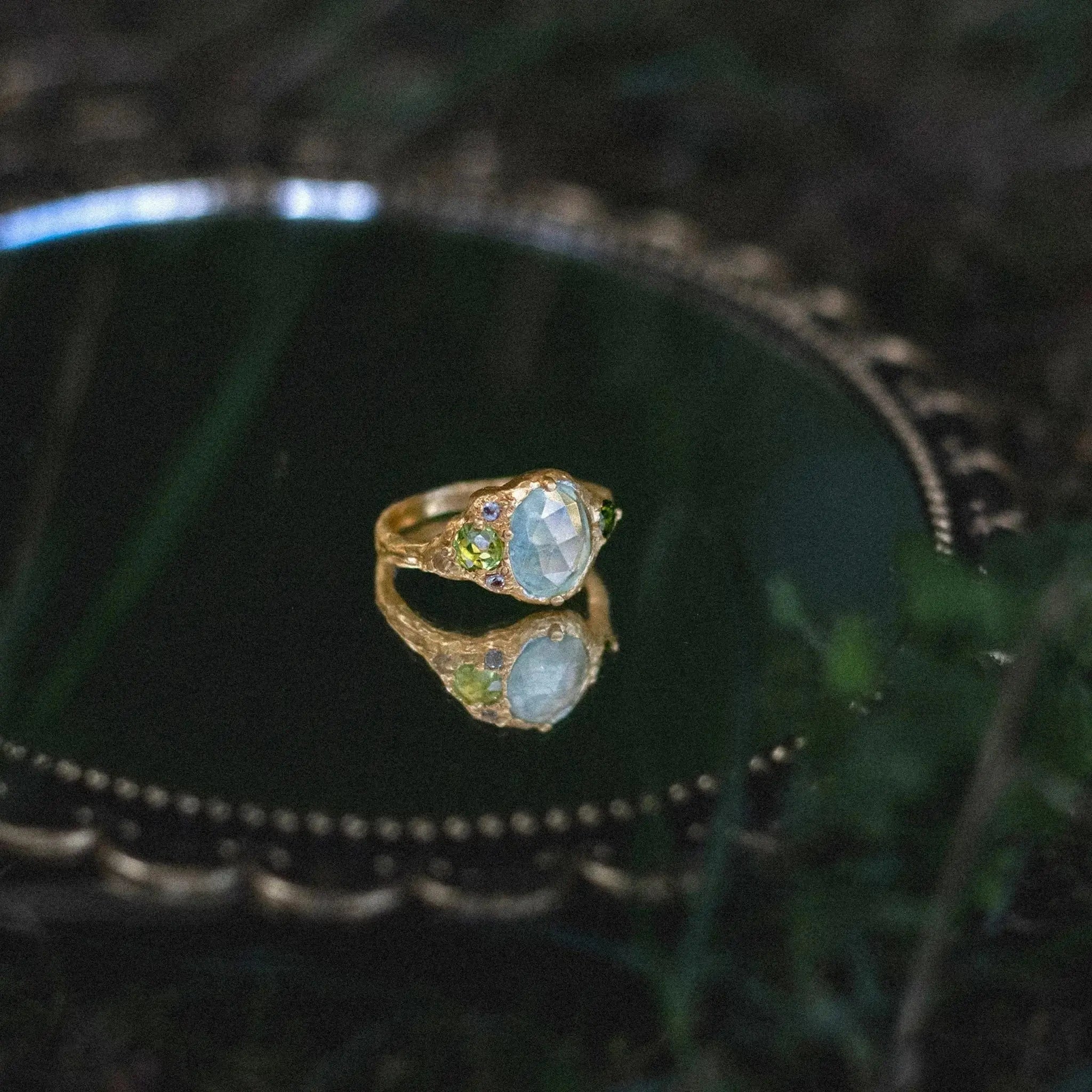 Wild Treasures • Ring Ananda Soul