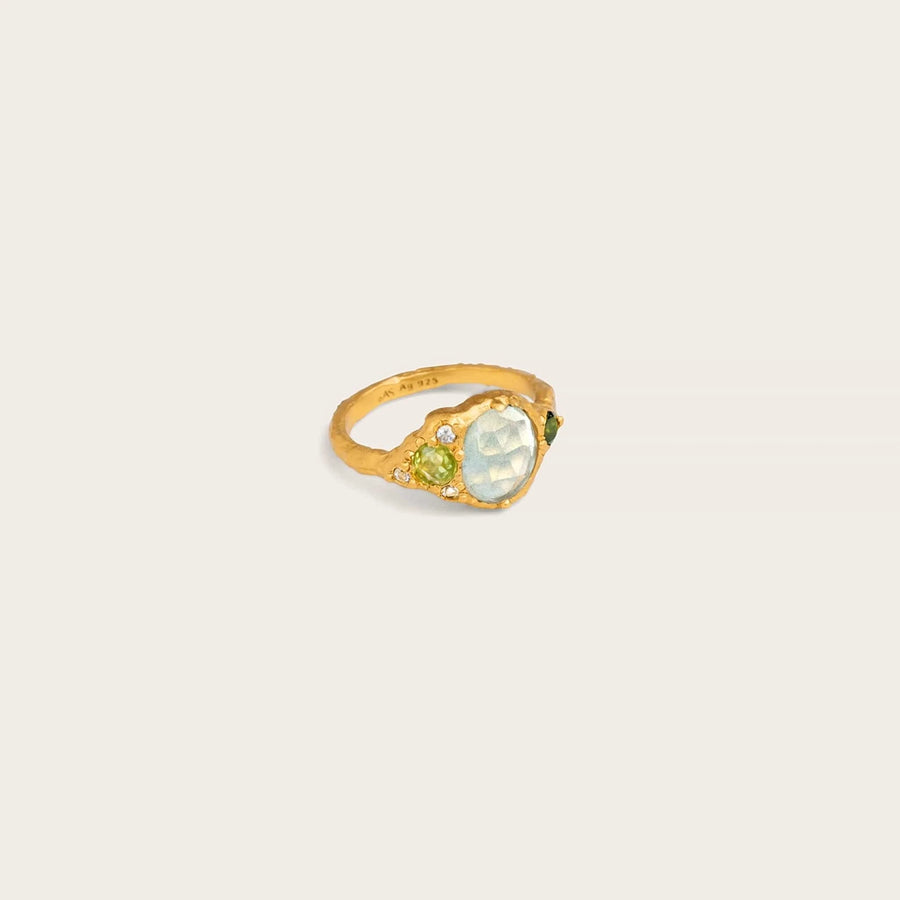 Wild Treasure • Ring