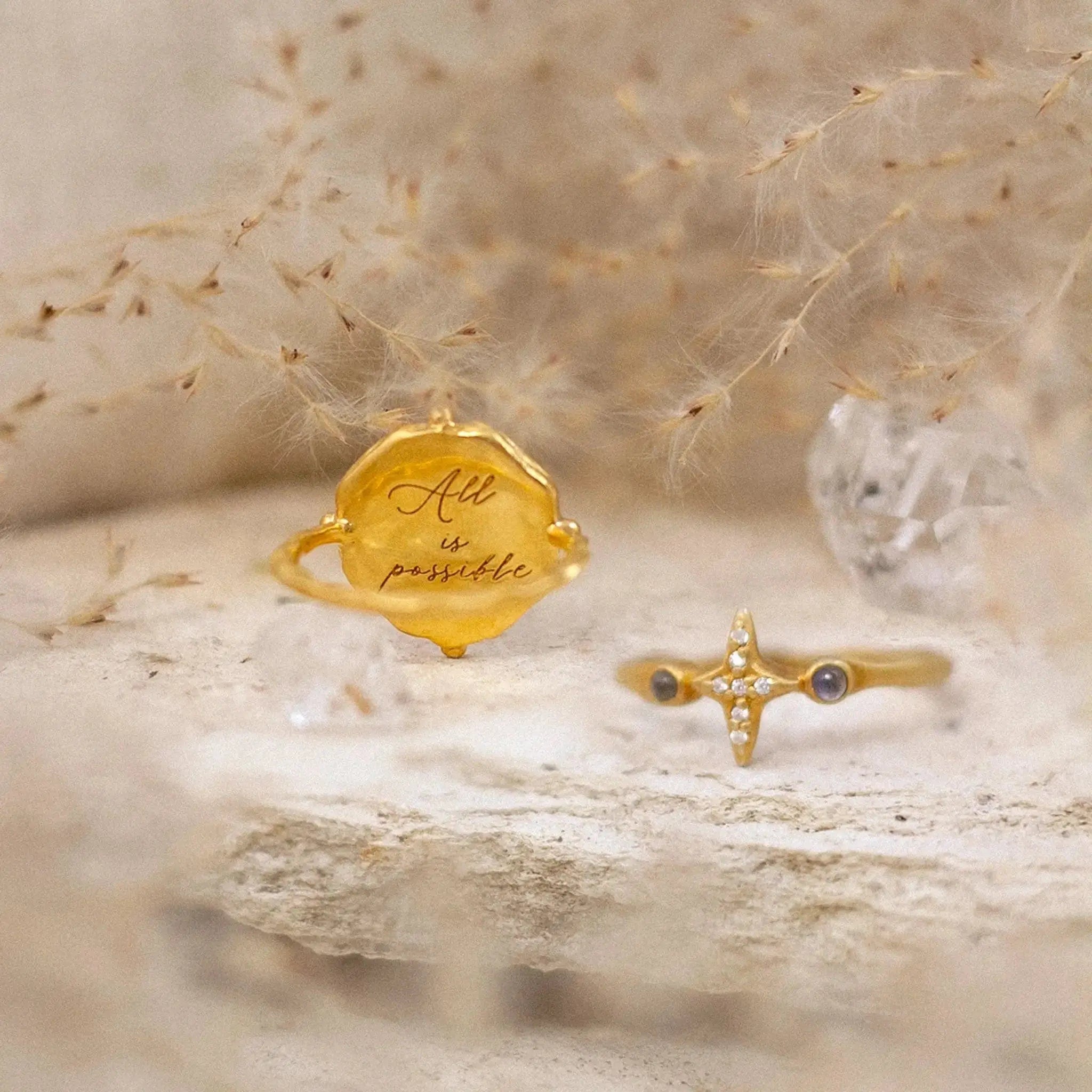 Infinite Potential & True North • Rings Ananda Soul