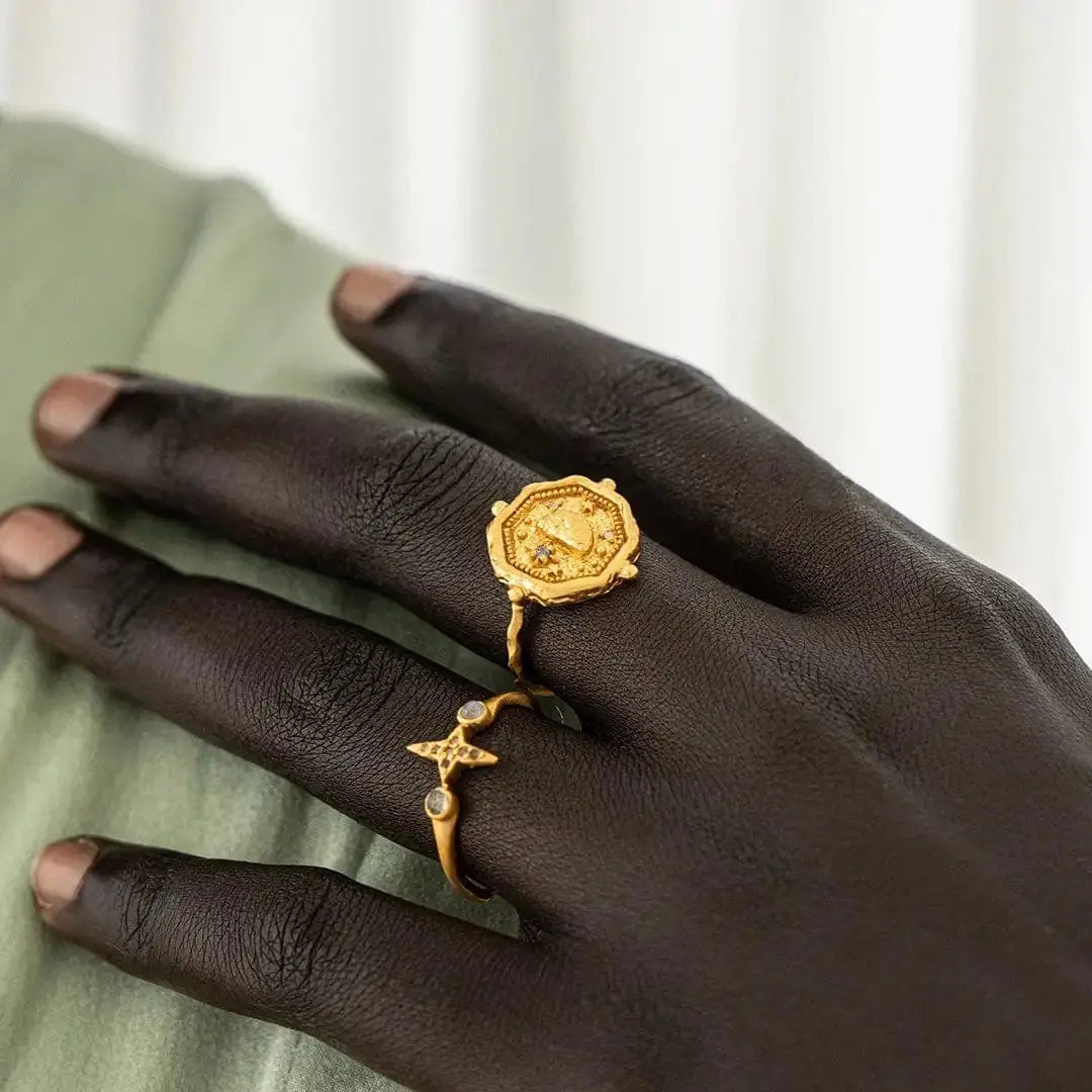 Infinite Potential & True North • Rings Ananda Soul